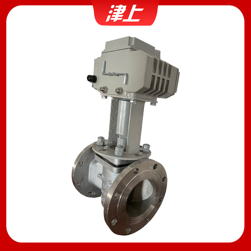 Characteristics and structure of electric gate valve