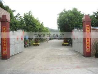 Guangzhou Ruiguang Hardware Manufactures Co., Ltd. company overview - view 1