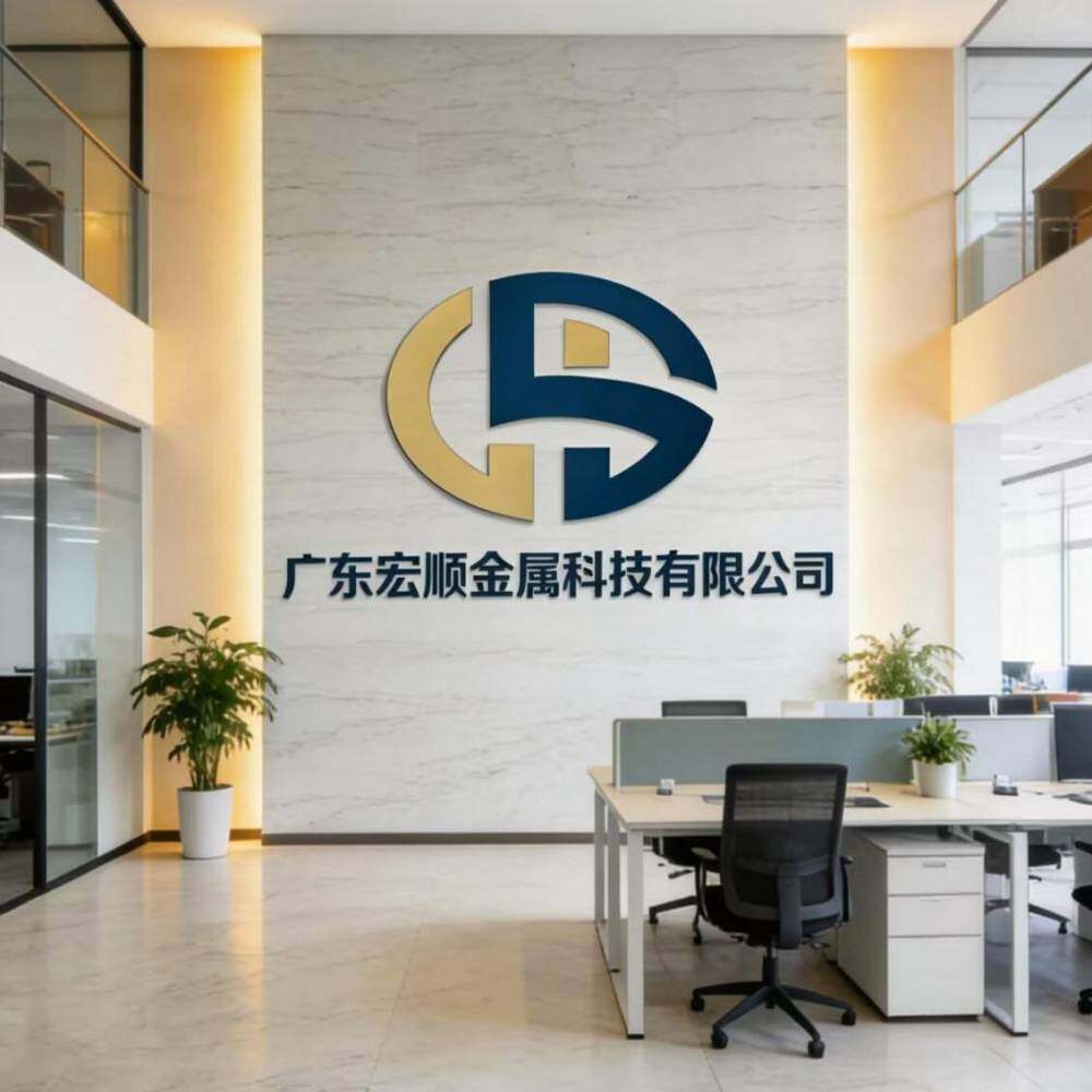 Guangdong Hongshun Metal Technology Co., Ltd. company overview - view 1