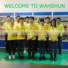 Dongguan Wah Shun Electric Technology Co., Ltd. company overview - view 2