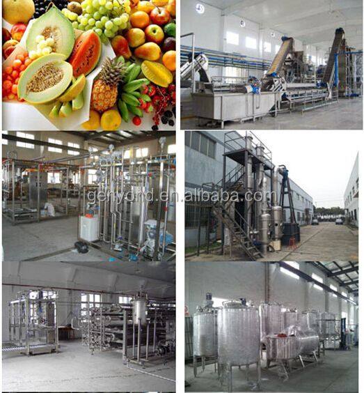 Manufacture Factory GYX-1000 Milk Juice Beverage Ice Cream Combined Processing Line