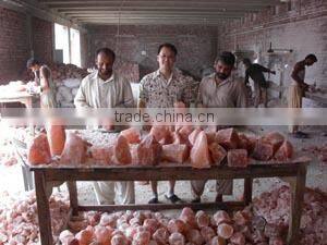 Saamia Impex company overview - view 2