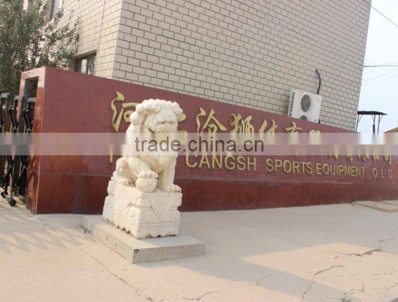 Hebei Cangshi Culture & Sports Equipment Co., Ltd. company overview - view 1