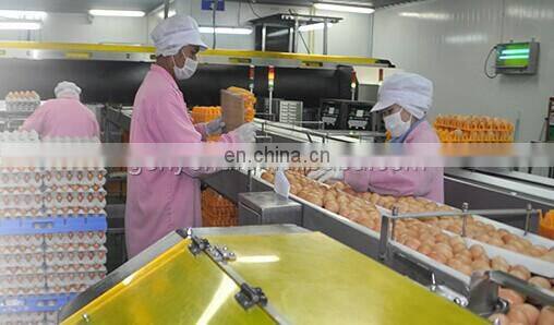 Automatic hen egg cleaning and checking line / egg processing machine