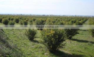 Aromaproduct Ltd company overview - view 1