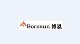 Shenzhen Bornsun Industrial Co.,Ltd company overview - view 1