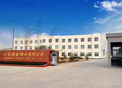 Shandong Tengxin Seal Co., Ltd company overview - view 1