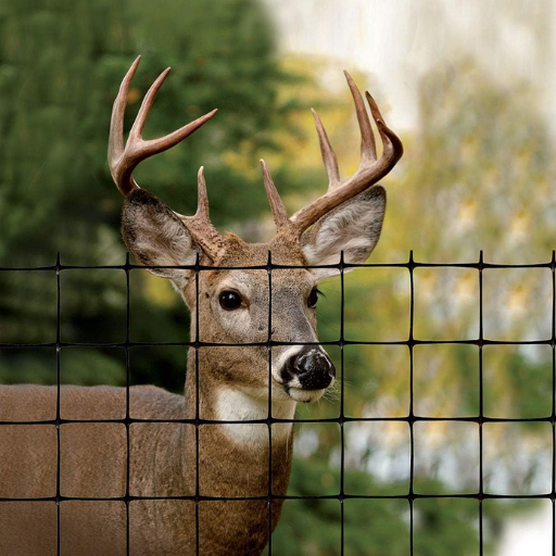 will 6 foot fence keep deer out (2)
