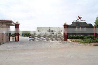 Shandong Yulong Polymer Science & Technology Co., Ltd. company overview - view 1