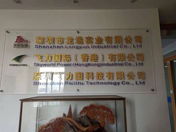 Shenzhen Longyun Industrial Co., Ltd. company overview - view 1
