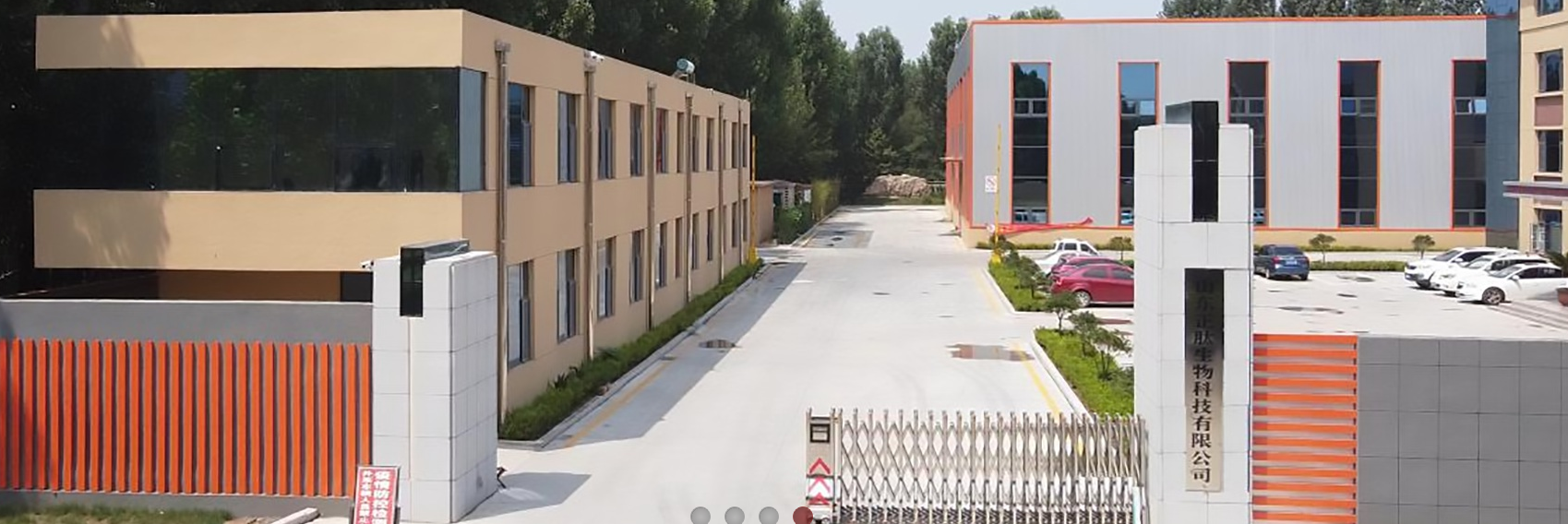Shandong Orthopeptide Biotechnology Co., Ltd company overview - view 1
