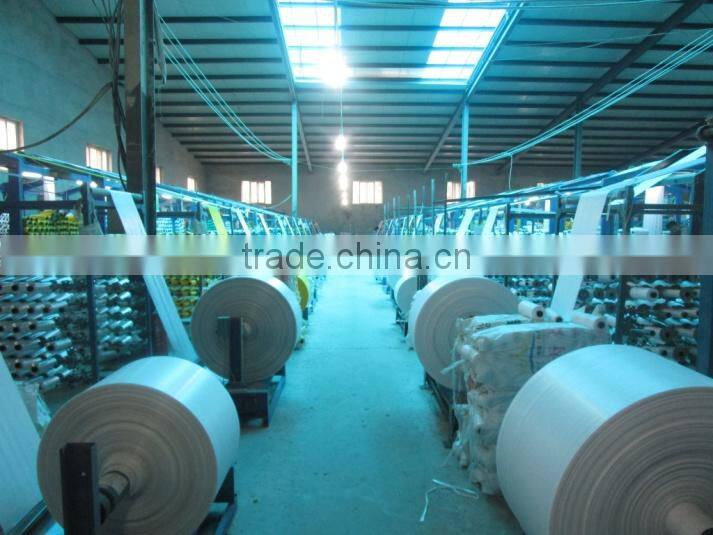 Guantao Zhenguo Plastic Packaging Co., Ltd. company overview - view 4