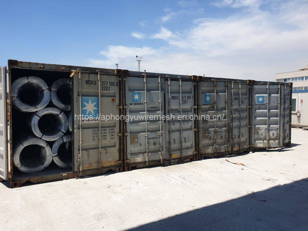 241844162_214113440761604_8102280839155926749_n