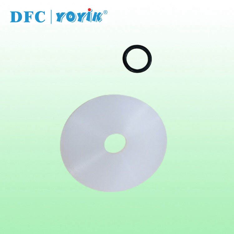 Gasket-Body to top plat for Dome DN100 P5460E-00 for power plant