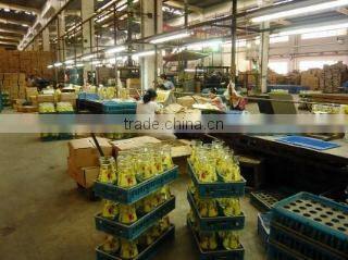 Shanghai Orient Glassware Inc. company overview - view 2