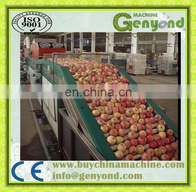 Fruit washing drying waxing grading sorting machine