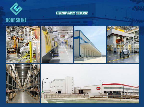 Chongqing Borpshine International Trade Co., Ltd company overview - view 1