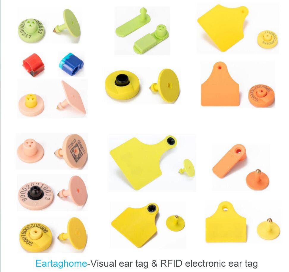 Eartaghome-ear tag