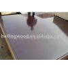 Shouguang Bailing Wood Co,.ltd company overview - view 1