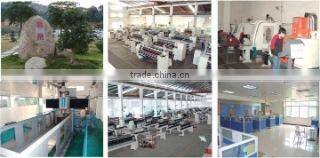 Hengye Machinery Co., Ltd. Of Dongguan City company overview - view 2