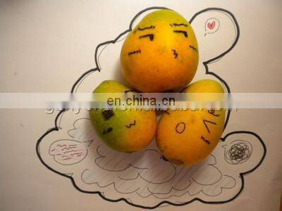 shanghai genyond Industrial Mango juice machine