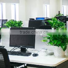 Luohe Quality Mechanical Equipment Co., Ltd. company overview - view 1