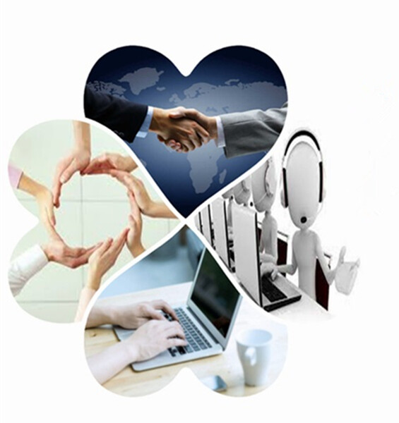 Alicia Import And Export Trade Co., Ltd company overview - view 1