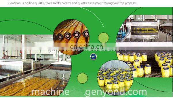 Canned pineapple processing machine Canned pineapple slices production line