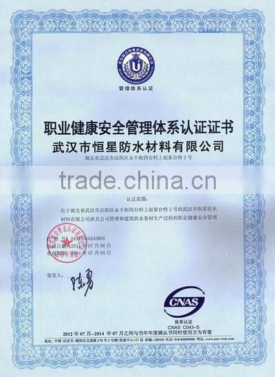OHSAS18001