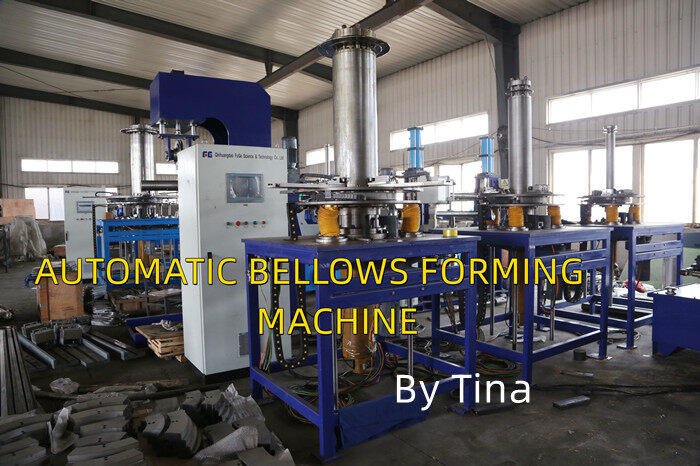 Qinhuangdao Fuge Science & Technology Co.,Ltd. company overview - view 4