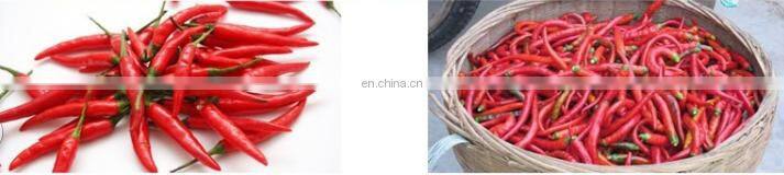 Genyond Factory automatic industrial Hot chili stem removing remover equipment/ red pepper stem cutting cutter machine