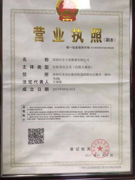 Shenzhen Big Dipper Scale Co.,Ltd company overview - view 1