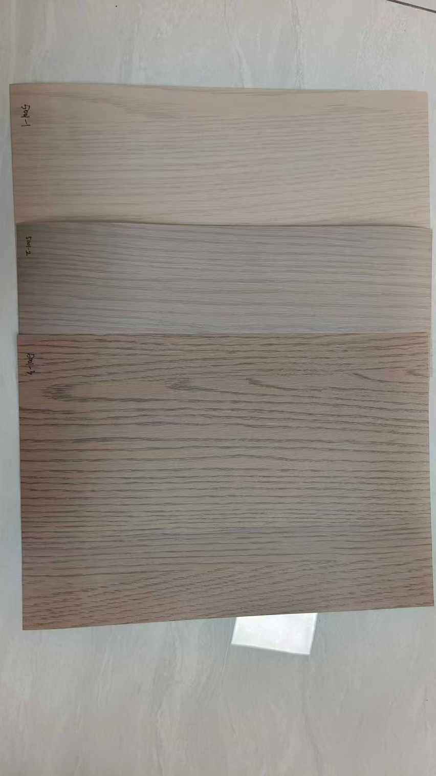 Jiangsu Xinfeng Star Film Material Co., Ltd. company overview - view 1