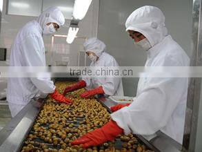 Hebei Liyuan Food Co., Ltd. company overview - view 2
