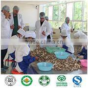 Yunnan Sunshine Trading Co., Ltd. company overview - view 1