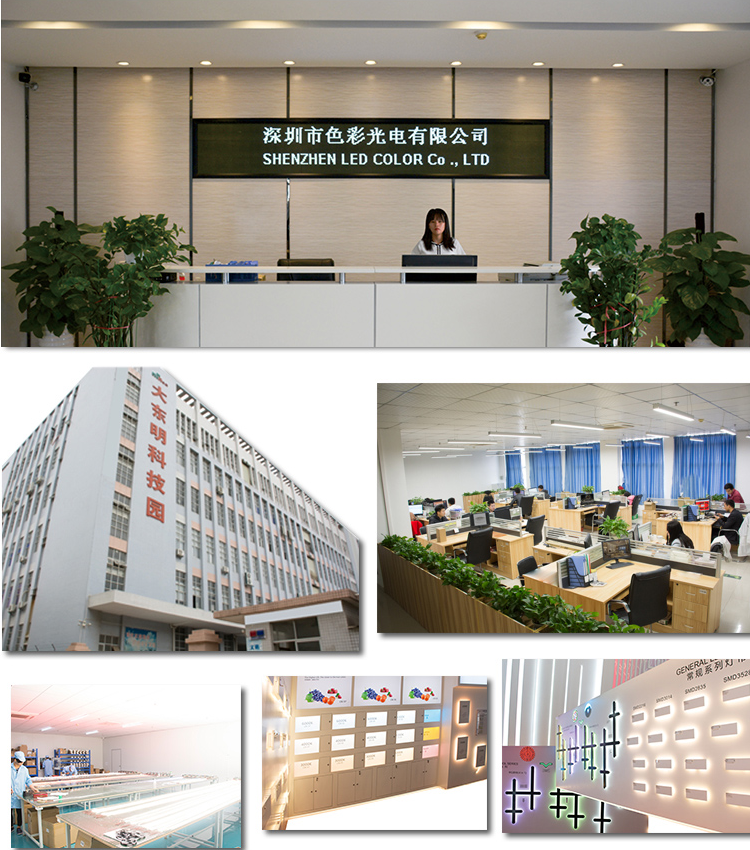 Shenzhen LED Color Co.,LTD company overview - view 1