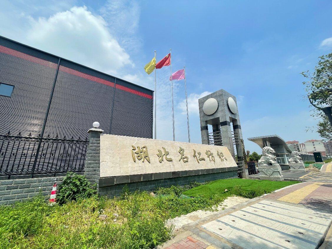 Wuhan Dasion Commerce & International Trading Co., Ltd. company overview - view 1