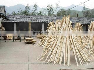 Anji Sunbelt Bamboo & Wood Products Factory company overview - view 3