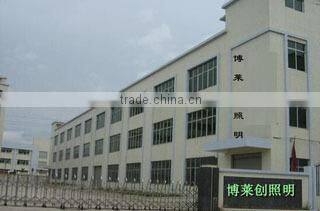 Shenzhen Brightron Lighting Co., Ltd. company overview - view 1