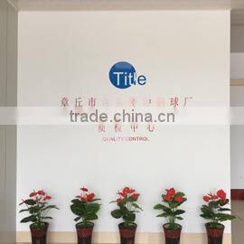 Zhangqiu Taitou Special Steel Ball Factory company overview - view 2