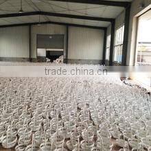 Linyi Goldlion Wicker Co., Ltd. company overview - view 3