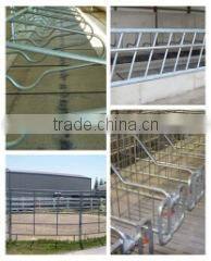 Qingdao Xinbaofeng Industrial Trade Co., Ltd. company overview - view 2