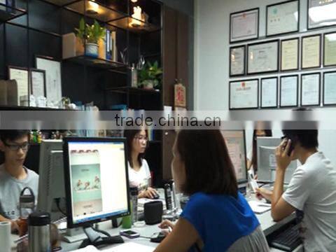 Summit Crafts Industrial Limited company overview - view 1