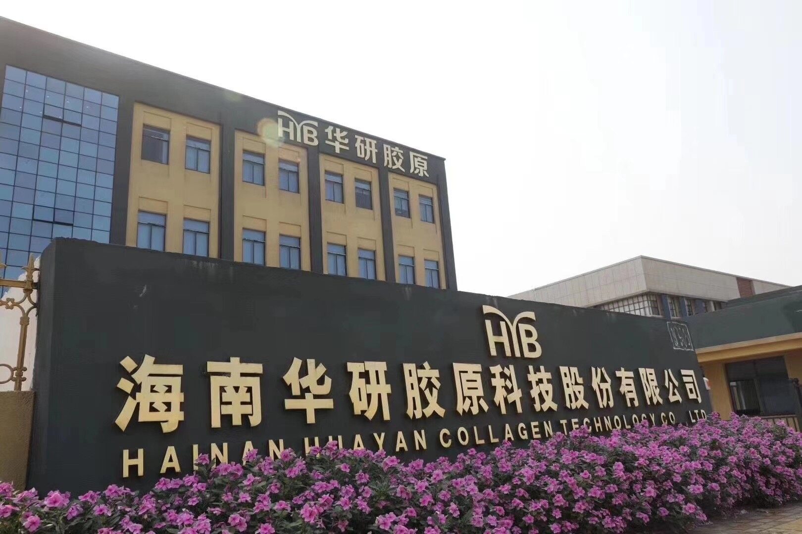 Hainan Huayan Collagen Technology Co., Ltd company overview - view 2