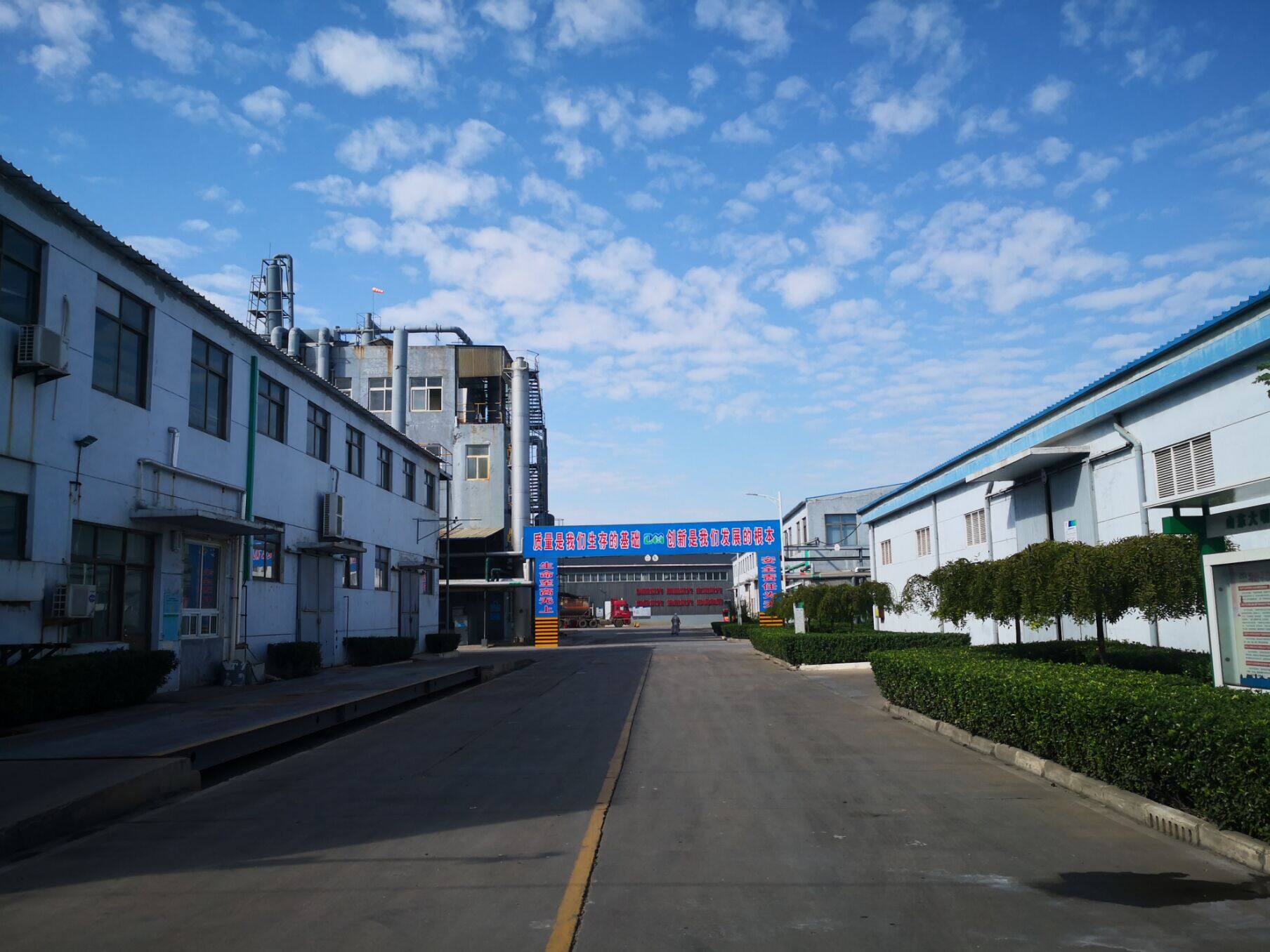 Rizhao Blue Spirit E.p.t. Co.,ltd company overview - view 3
