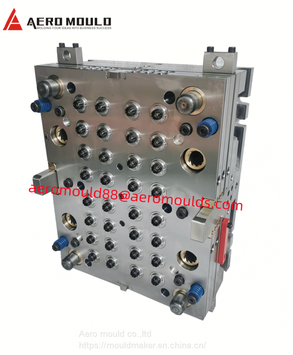 plastic cap mould manufacturer in China (2)