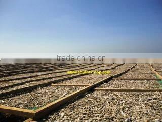 Southern Top Investment Company Limited company overview - view 1