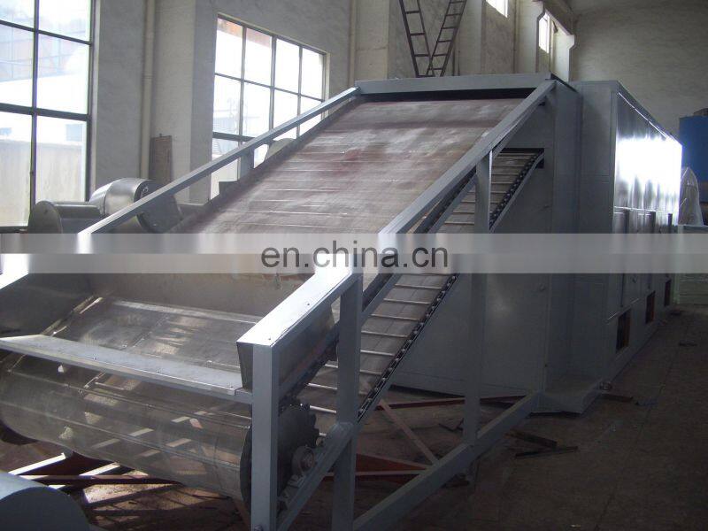 Dehydrated Red Onion Powder processing plant