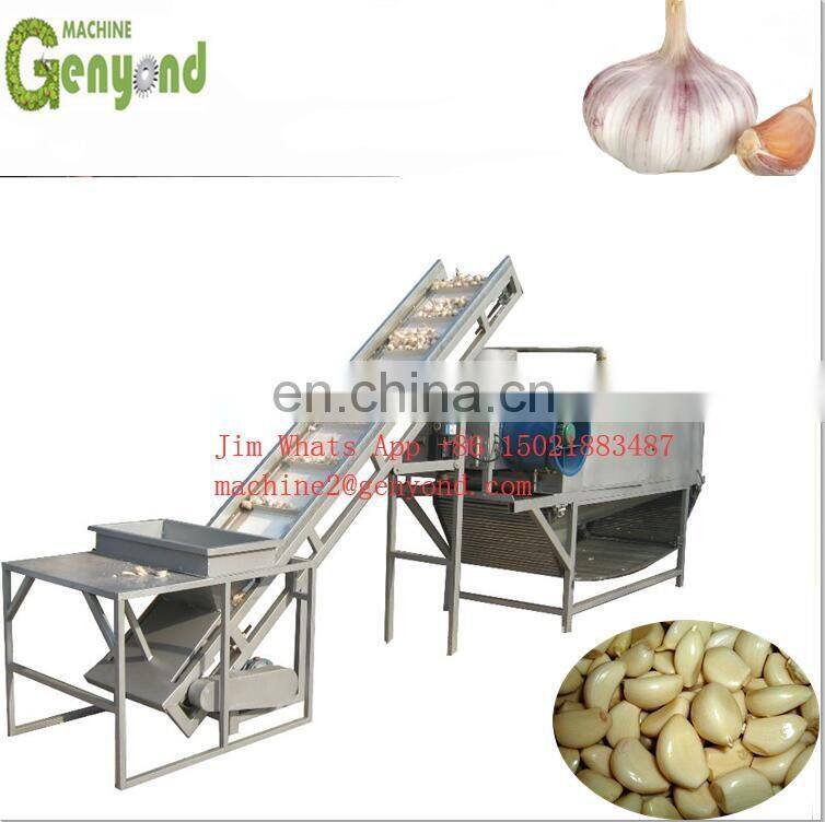 Commercial Vegetable Washer/Air Bubble Vegetable Washing Machine