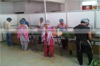 Cucku Enterprises Private Limited company overview - view 1